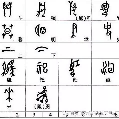 冊造字法則|六書